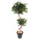 Ficus artificiel spirale 2 boules H185cm