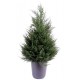 Cyprès artificiel Juniperus UV 65cm