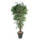 Ficus lianes artificiel petites feuilles