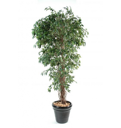 Ficus lianes artificiel petites feuilles