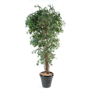 Ficus lianes artificiel petites feuilles