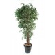 Ficus artificiel Lianes H150-180-210cm