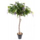 Glycine round artificielle 235cm