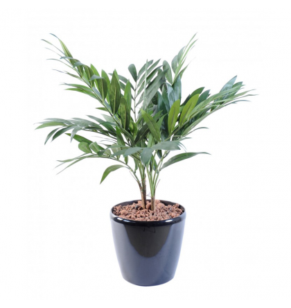 Palmier Parlour artificiel plante 65cm