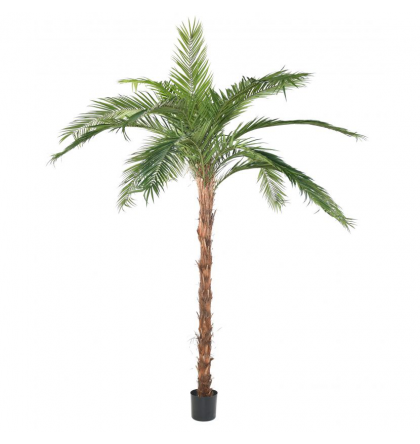 Palmier artificiel Phoenix Canariensis H370cm