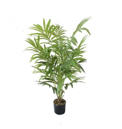 Palmier Parlour artificiel buisson H90 & 120cm