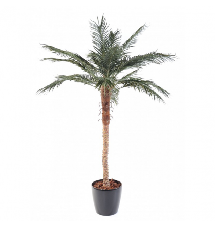 Palmier artificiel Phoenix Palm H210cm