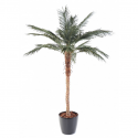 Palmier artificiel Phoenix Palm H210cm