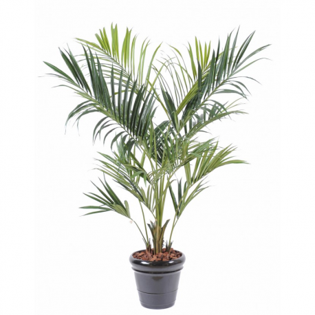 Kentia Royal artificiel