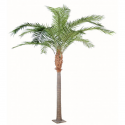 Palmier artificiel Phoenix Canariensis H380 & 440cm