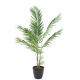 Areca artificiel 160cm