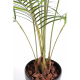 Areca artificiel 160cm