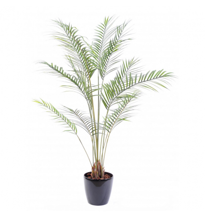 Areca artificiel Plast 160cm