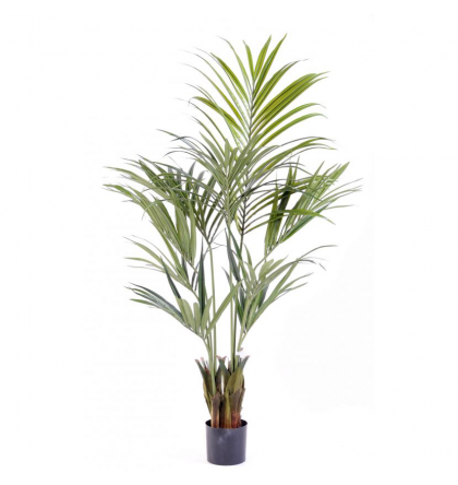 Kentia Palm artificiel H150-180-220cm