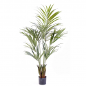 Kentia Palm artificiel H150-180-220cm