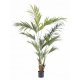 Kentia Palm artificiel 150 à 220cm