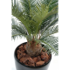 Cycas artificiel baby 65cm