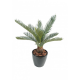 Cycas artificiel baby 65cm