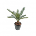 Cycas artificiel baby  H65cm