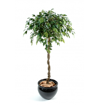 Ficus artificiel boule Natajsa