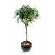 Ficus artificiel Boule Natasja H140cm Ø60cm