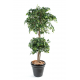 Ficus artificiel double boule