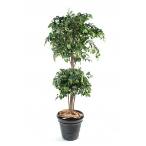 Ficus artificiel double boule