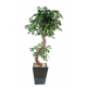 Ficus artificiel S 180cm