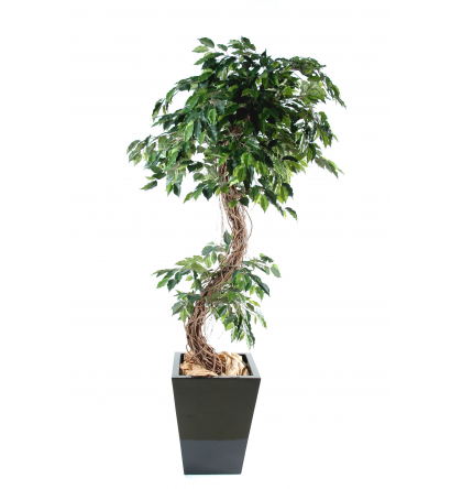 Ficus S artificiel H180cm