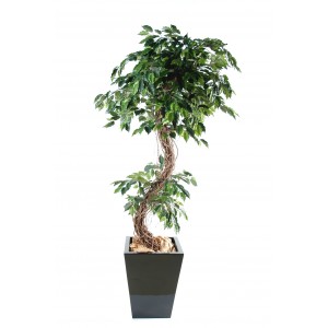 Ficus artificiel S 180cm