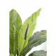 Anthurium Jungle King artificiel 80 et 130cm