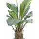 Anthurium Jungle King artificiel 80 et 130cm