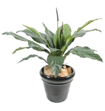 Anthurium Jungle King artificiel 80 et 130cm