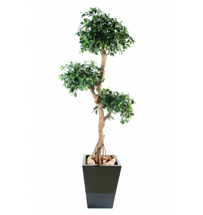 Ficus artificiel | Retusa Crazy 150 cm