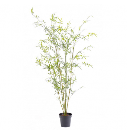 Bambou artificiel cannes fines Green Plast 195cm