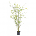 Bambou artificiel cannes fines Green Plast 195cm