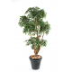 Ficus artificiel 5 têtes Natasja 170cm