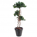 Ficus artificiel | Panda New 140cm