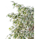 Ficus lianes artificiel petites feuilles