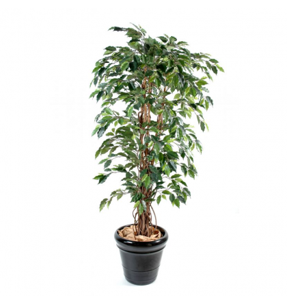 Ficus artificiel lianes grandes feuilles H150-180-210cm