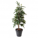 Ficus artificiel | ALII Bush Royal 160 et 190cm