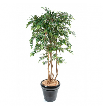Ficus artificiel | Multitree Natasja 110 à 210cm