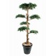 Podocarpus nuage large artificiel 150cm