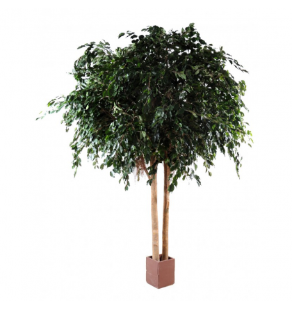 Ficus artificiel Exotica Géant 350 et 480cm