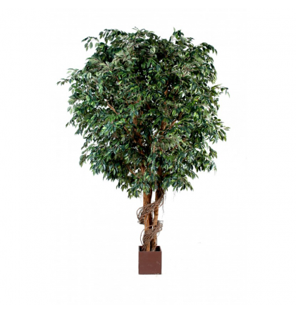 Ficus artificiel Géant H320-380-500-650cm