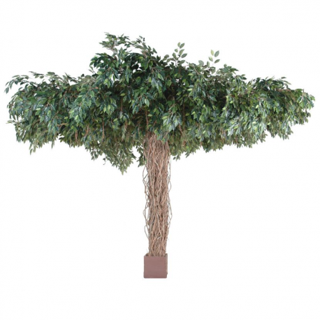 Ficus artificiel lianes Umbrella 320cm Ø450cm