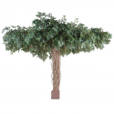 Ficus artificiel lianes Umbrella H320cm Ø450cm