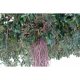 Ficus artificiel lianes Umbrella 320cm Ø450cm