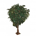 Ficus artificiel Géant Tree H350 & 650cm