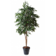 Ficus Alii Royal artificiel 